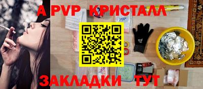 стаф Свободный