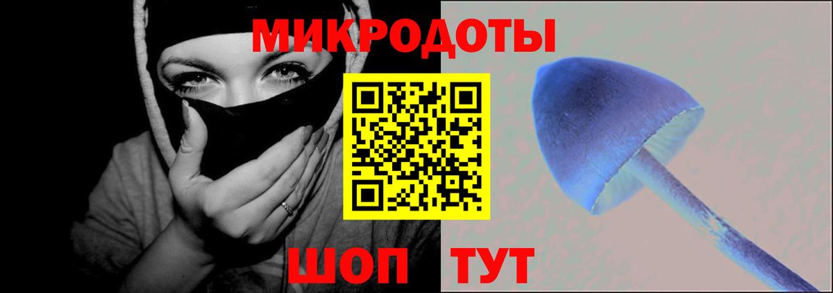 Псилоцибиновые грибы GOLDEN TEACHER Петрозаводск
